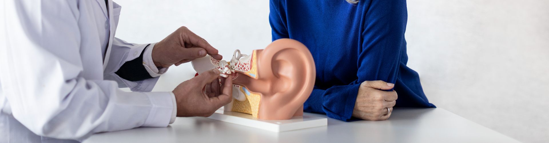How Hearing Works How Hearing Works