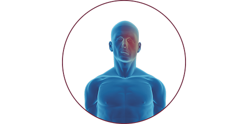 FES bei Fazialisparese | STIWELL® Neurorehabilitation