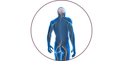 FES bei Nervenschädigung | STIWELL® Neurorehabilitation