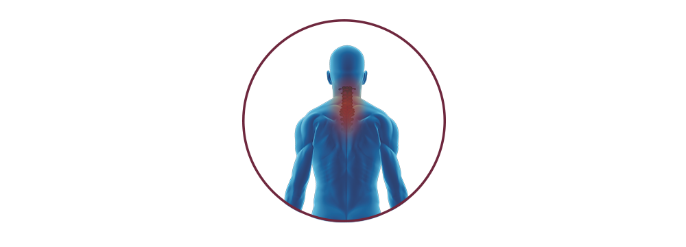 STIWELL® | functional electrical stimulation (FES) for tetraplegia