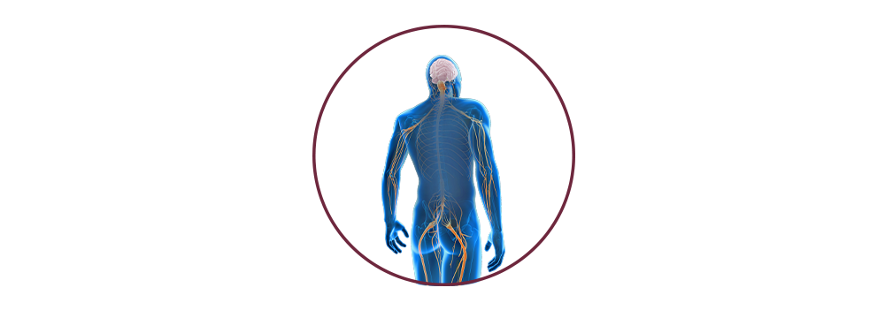 STIWELL® | Funktionelle Elektrostimulation (FES) bei Nervenschädigung